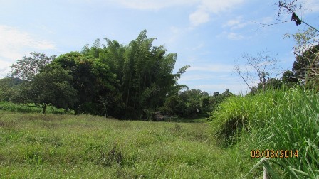 Foto de Lote / terreno en Venta en Vereda santagueda, Palestina - 14 - 27909649