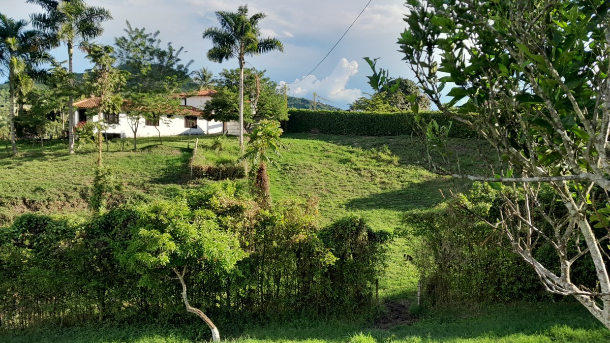 Foto de Lote / terreno en Venta en Arauca via risaralda, Risaralda - 25 - 279024588
