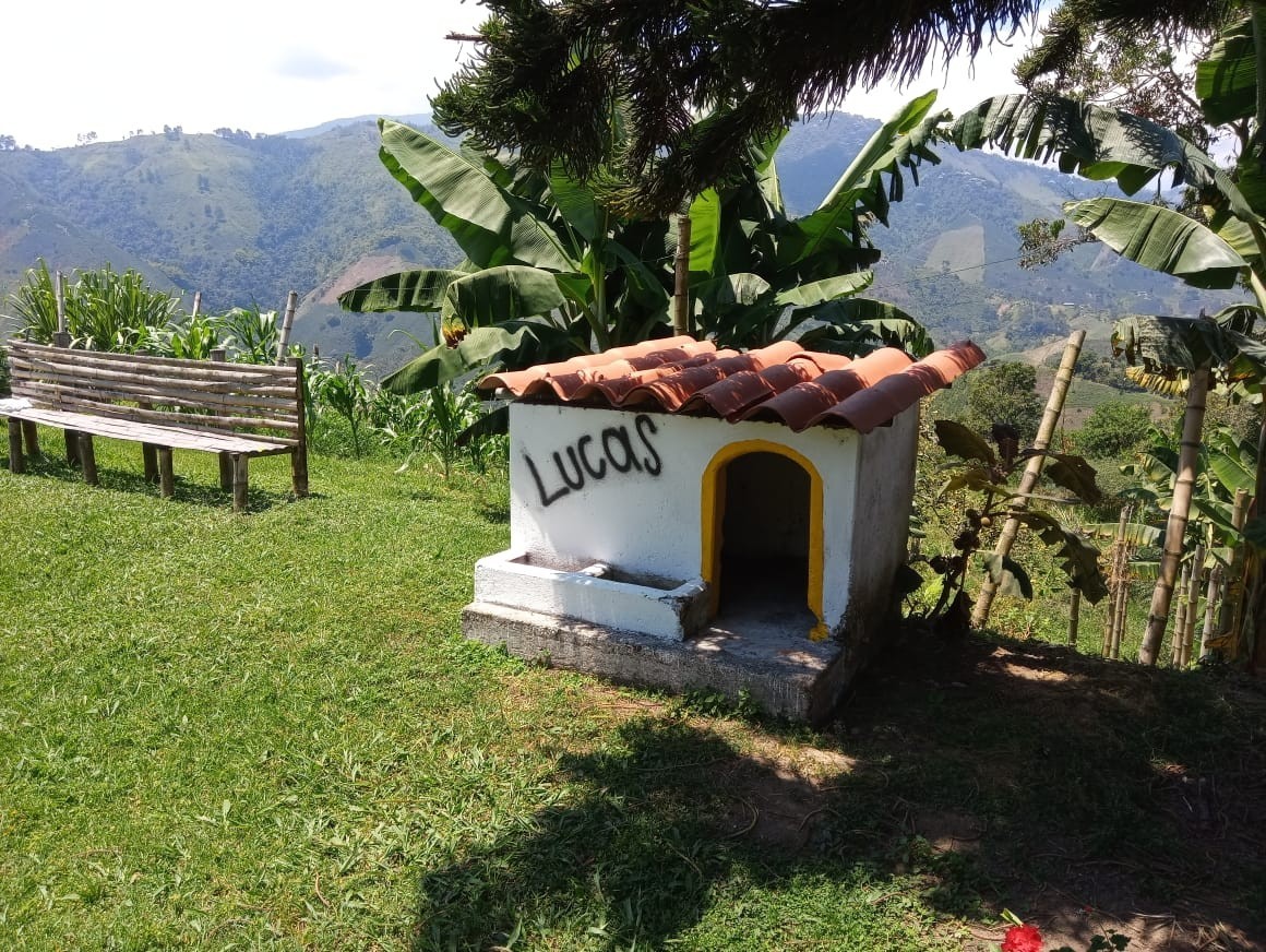 Foto de Finca en Venta en Alto chuscal, Chinchina - 19 - 21129
