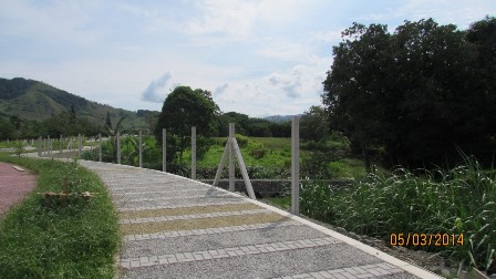 Foto de Lote / terreno en Venta en Vereda santagueda, Palestina - 9 - 27909649