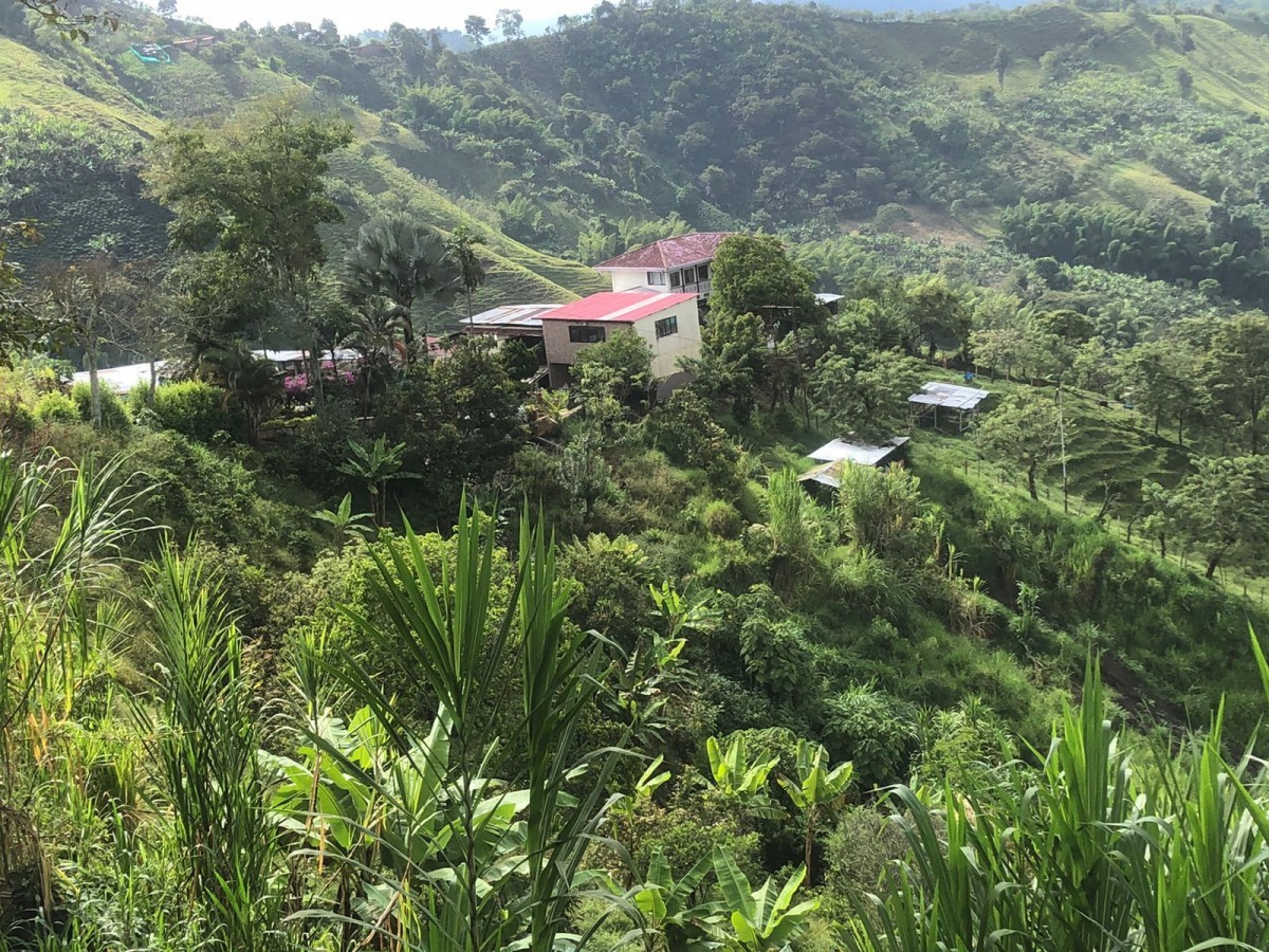Foto de Finca en Venta en Vereda el higueron, Neira - 8 - 24699