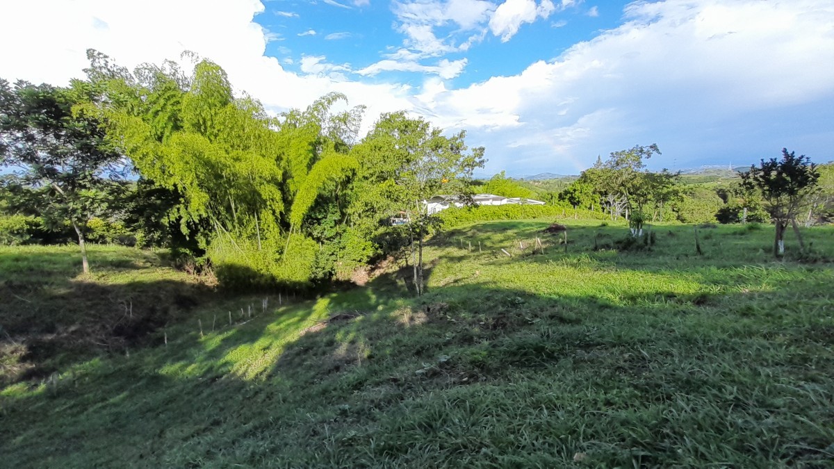 Foto de Lote / terreno en Venta en Arauca via risaralda, Risaralda - 1 - 279024588