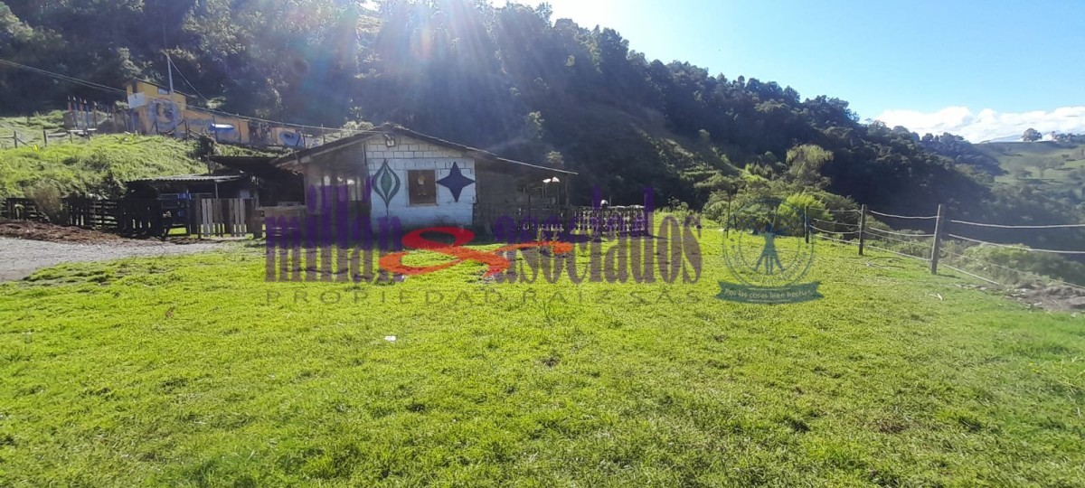 Foto de Lote / terreno en Venta en Cerro de oro, Manizales - 4 - 51810