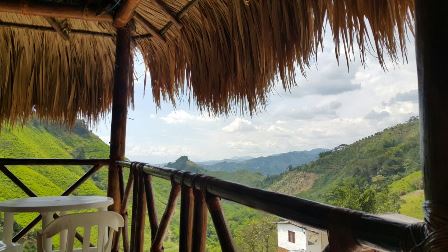 Foto de Finca en Venta en Las pavas, Chinchina - 7 - 16774