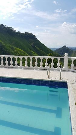 Foto de Finca en Venta en Las pavas, Chinchina - 13 - 16774