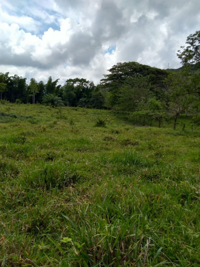 Foto de Lote / terreno en Venta en Vereda la libertad, Risaralda - 9 - 18529