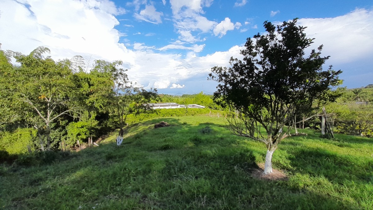 Foto de Lote / terreno en Venta en Arauca via risaralda, Risaralda - 3 - 279024588
