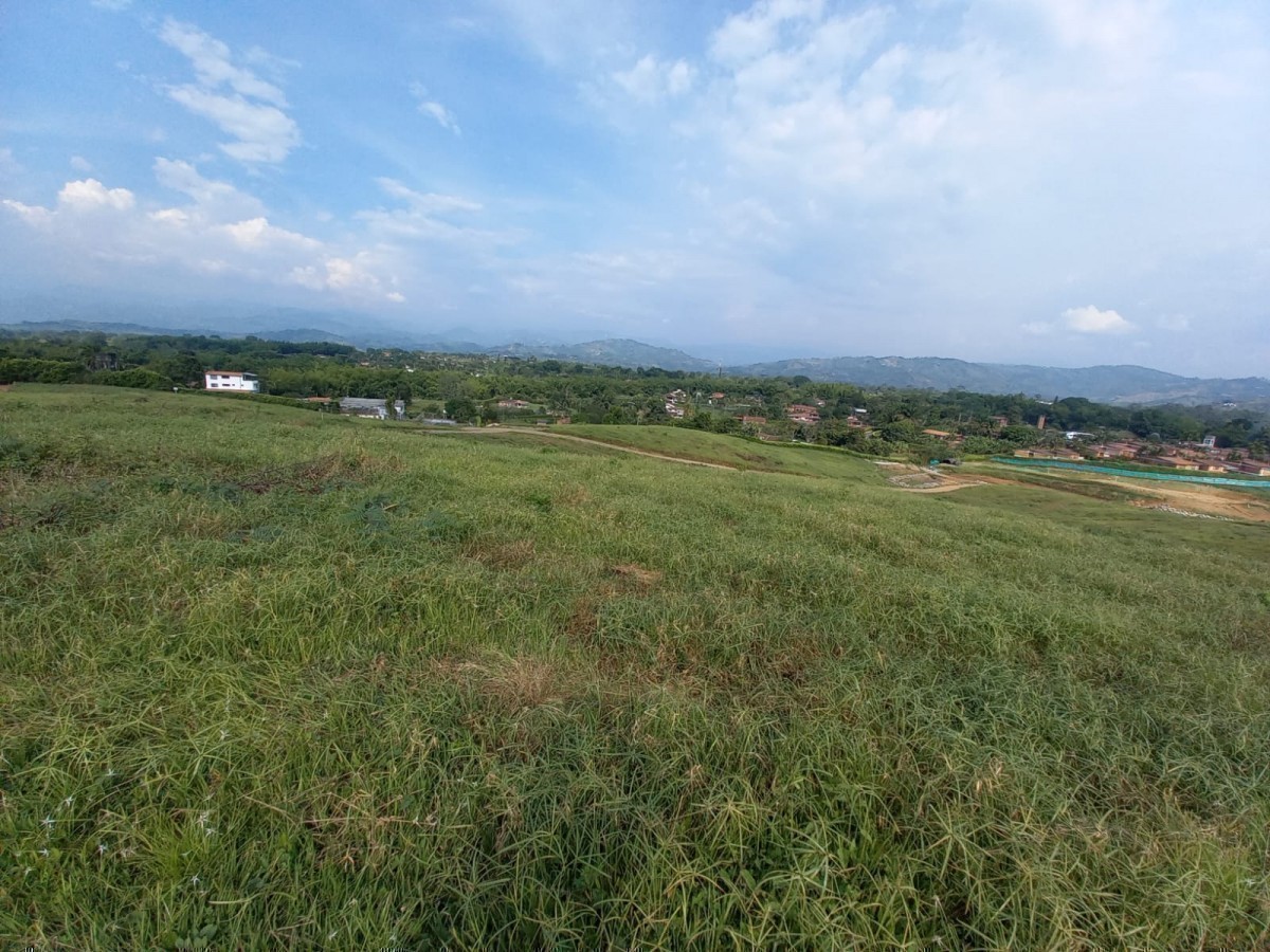 Foto de Lote / terreno en Venta en Vereda santagueda, Palestina - 7 - 24553