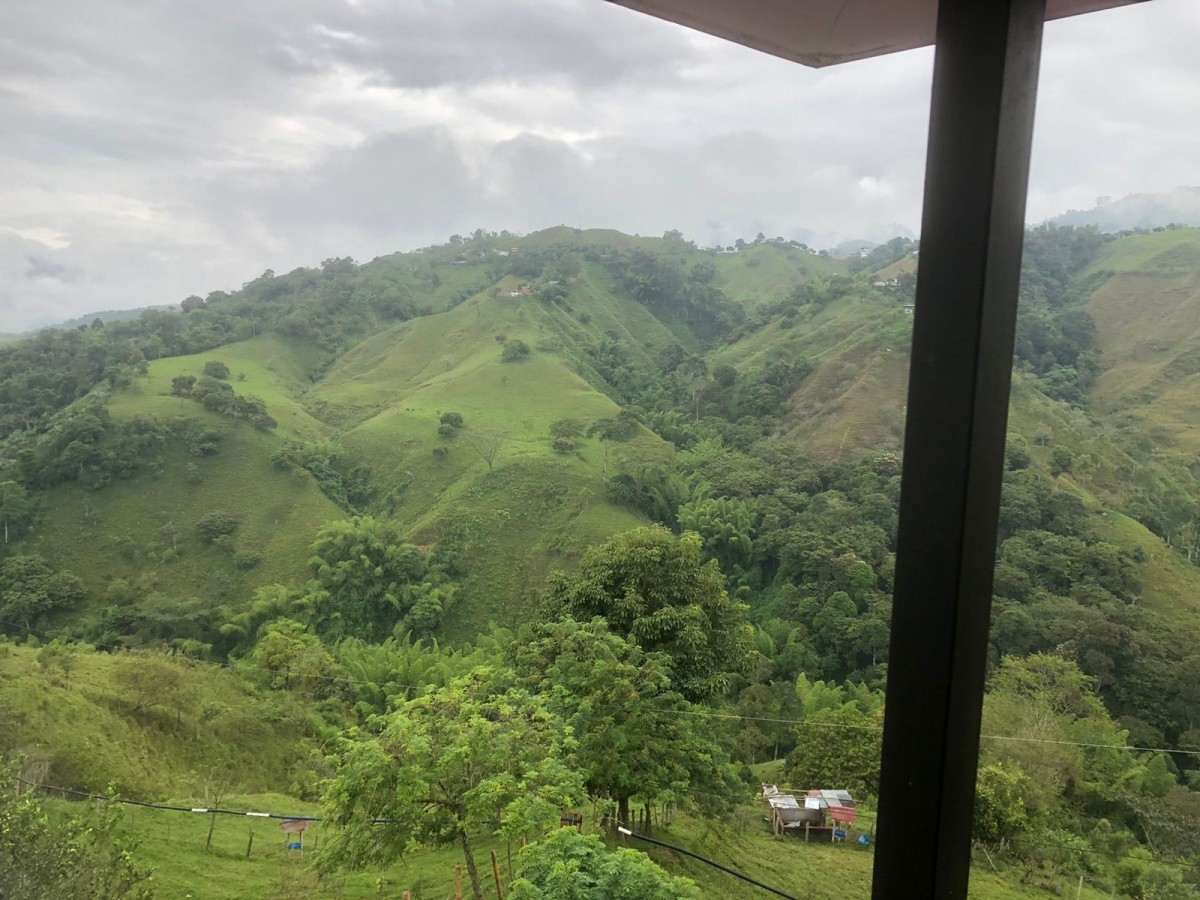Foto de Finca en Venta en Vereda el higueron, Neira - 13 - 24699