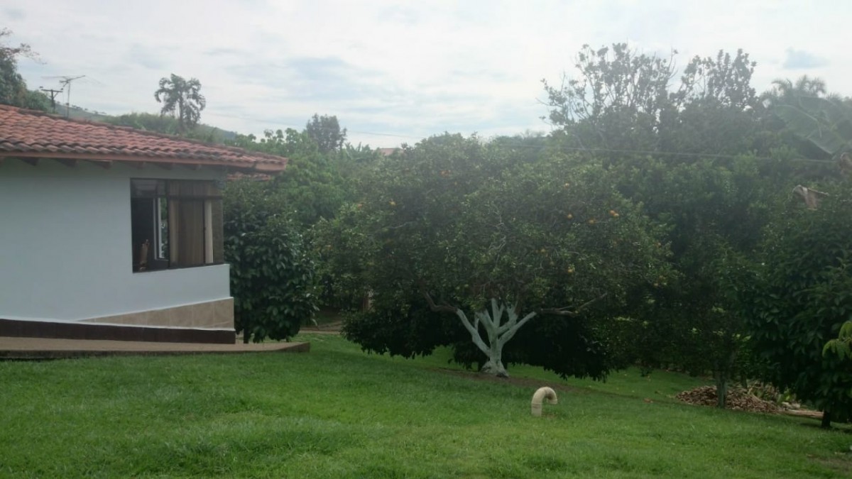 Foto de Finca en Venta en Vereda santagueda, Palestina - 29 - 279014376