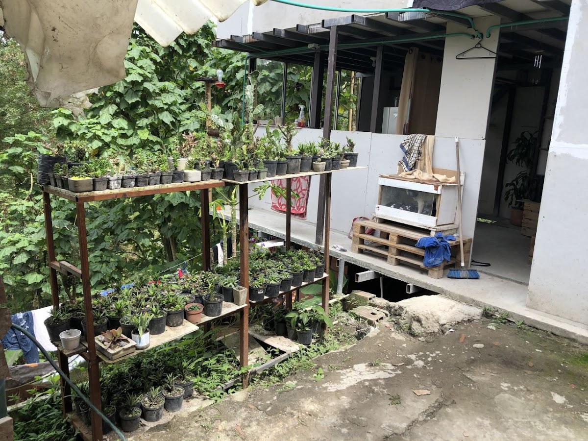 Foto de Lote / terreno en Venta en Panamericana, Manizales - 24 - 20489
