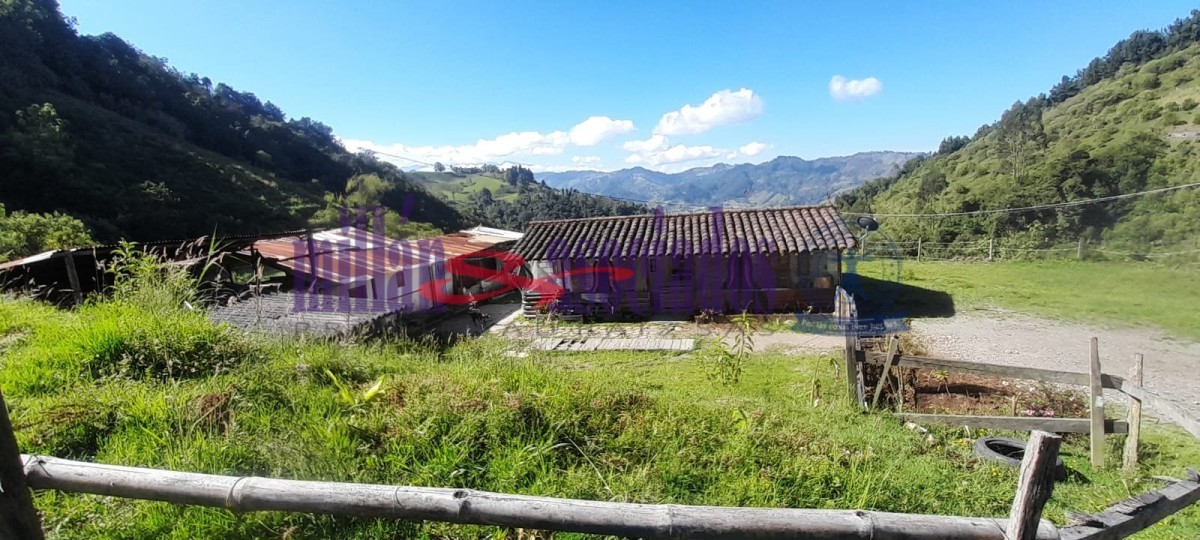 Foto de Lote / terreno en Venta en Cerro de oro, Manizales - 15 - 51810