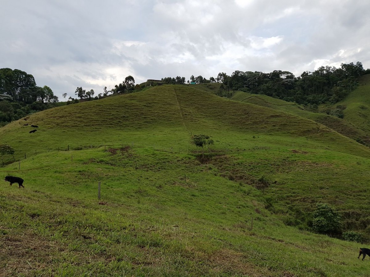 Foto de Finca en Venta en Santa rosa de cabal, Santa rosa de cabal - 19 - 279056021