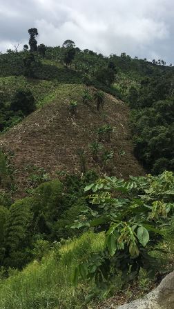 Foto de Finca en Venta en Las pavas, Chinchina - 3 - 16774