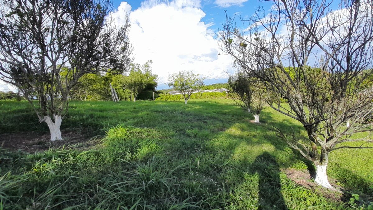 Foto de Lote / terreno en Venta en Arauca via risaralda, Risaralda - 16 - 279024588