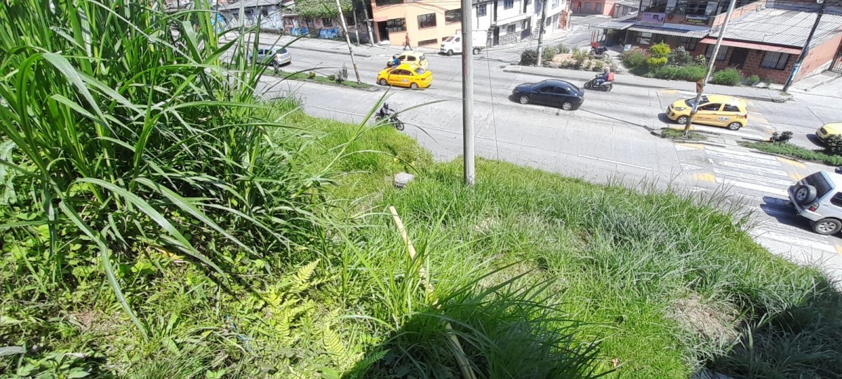 Foto de Lote / terreno en Venta en La isabela, Villamaria - 11 - 25073