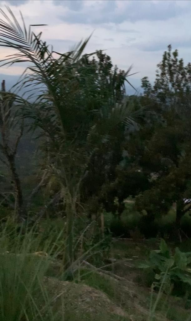 Foto de Finca en Venta en La cabaña, Manizales - 1 - 25118