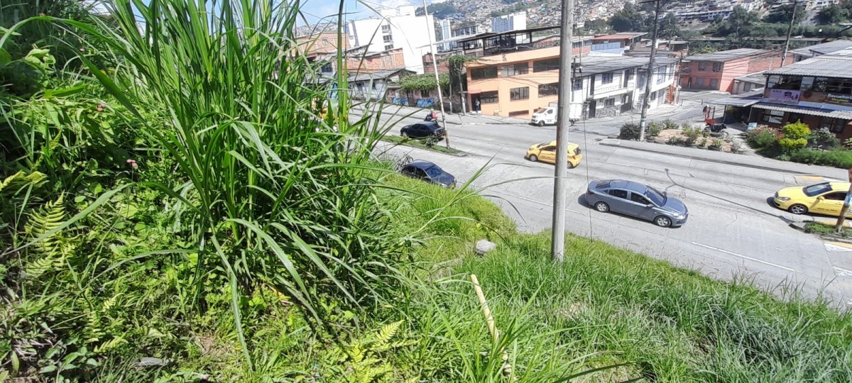 Foto de Lote / terreno en Venta en La isabela, Villamaria - 10 - 25073