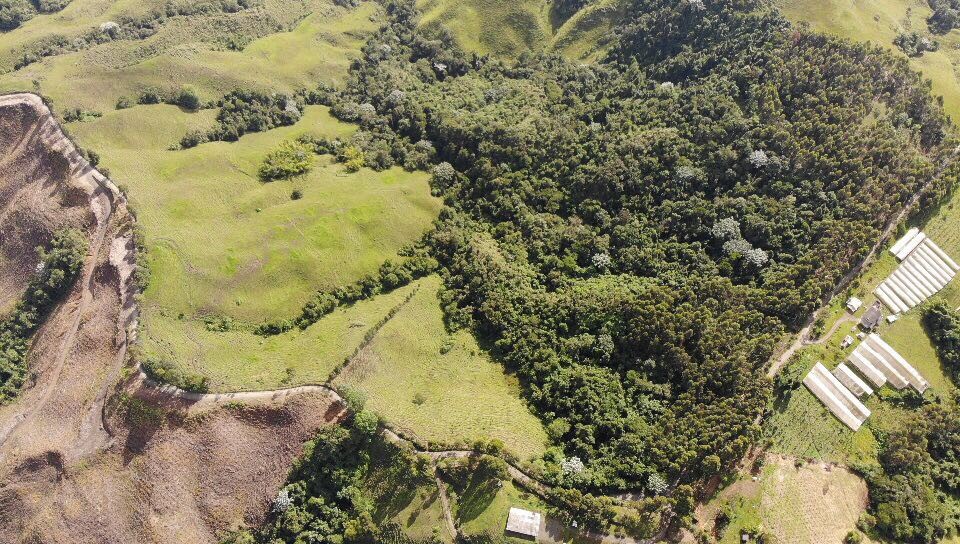 Foto de Finca en Venta en Santa rosa de cabal, Santa rosa de cabal - 26 - 279056021