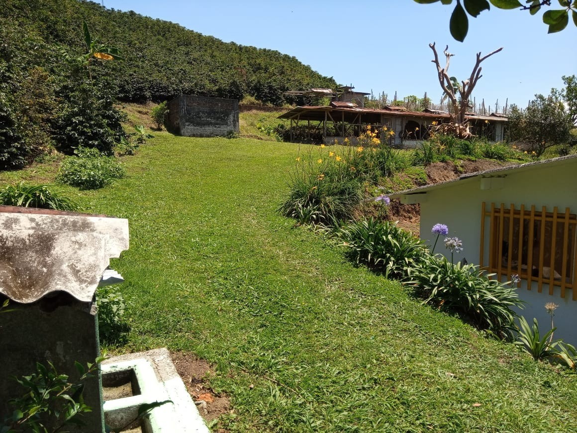 Foto de Finca en Venta en Alto chuscal, Chinchina - 13 - 21129