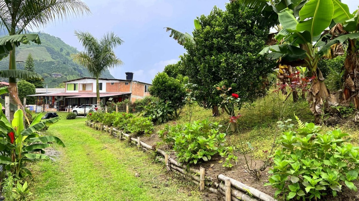 Foto de Finca en Venta en Llanitos, Villamaria - 24 - 51698