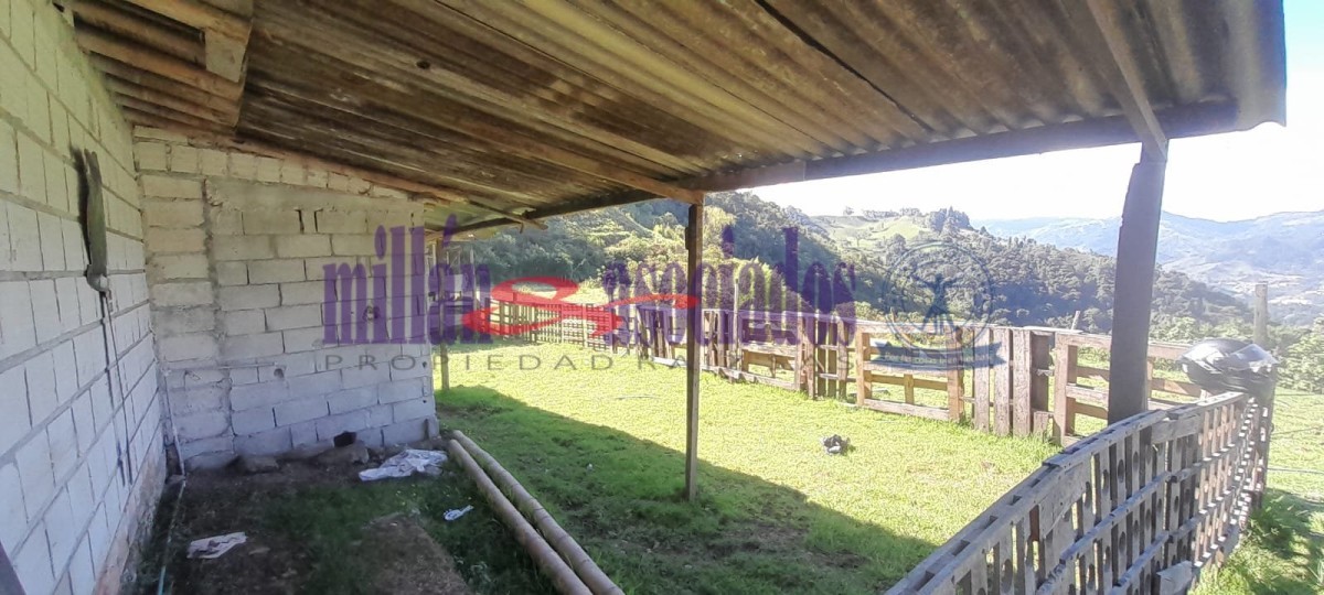 Foto de Lote / terreno en Venta en Cerro de oro, Manizales - 6 - 51810