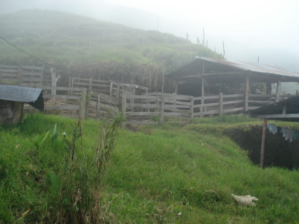 Foto de Finca en Venta en Padua, Libano - 14 - 279020339