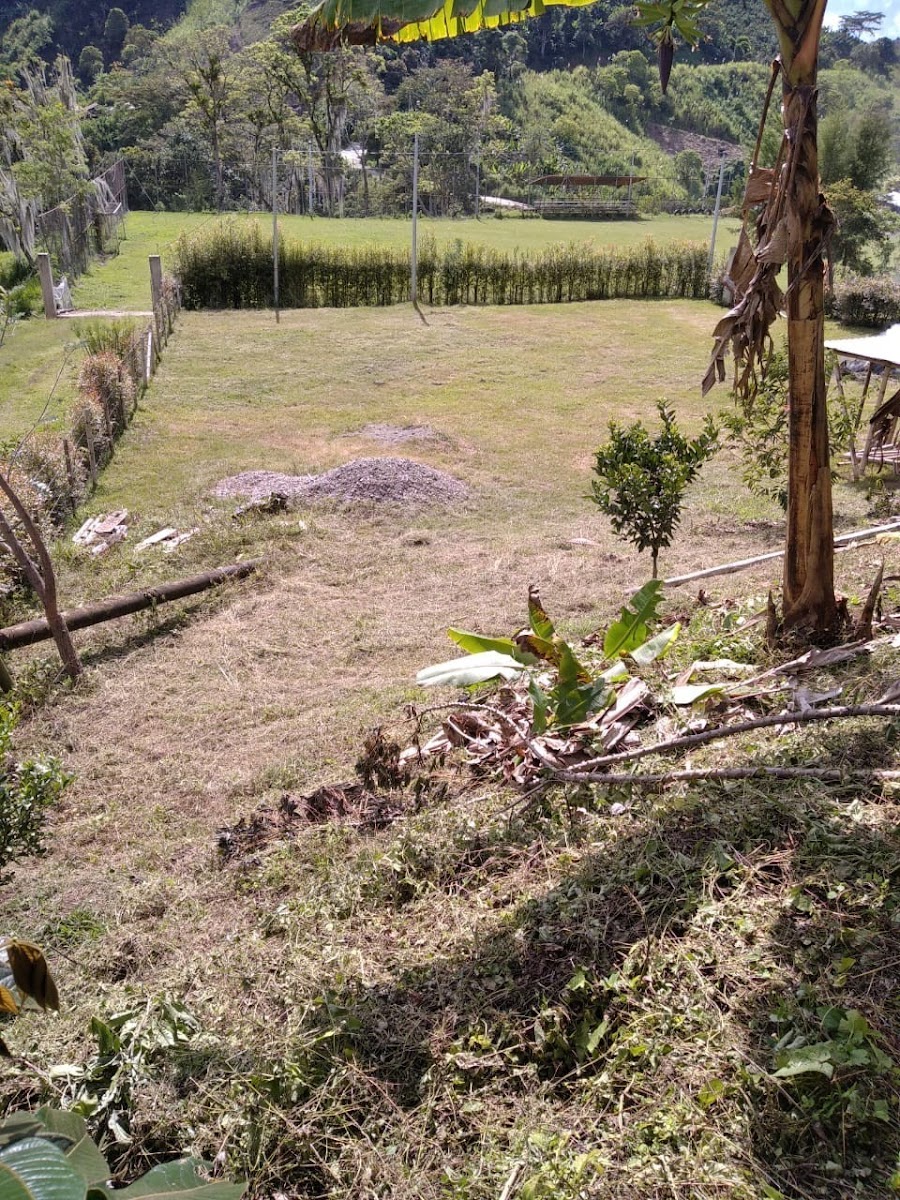 Foto de Lote / terreno en Venta en San peregrino, Manizales - 9 - 279024611