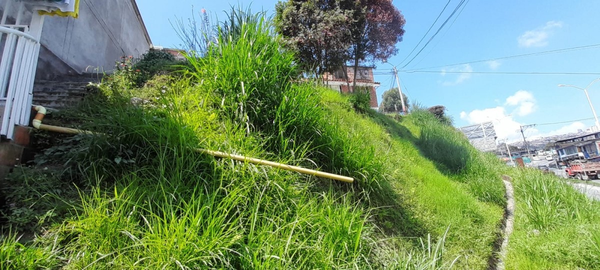 Foto de Lote / terreno en Venta en La isabela, Villamaria - 9 - 25073