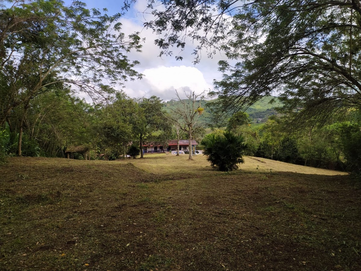 Foto de Finca en Venta en La plata, Palestina - 6 - 279023790