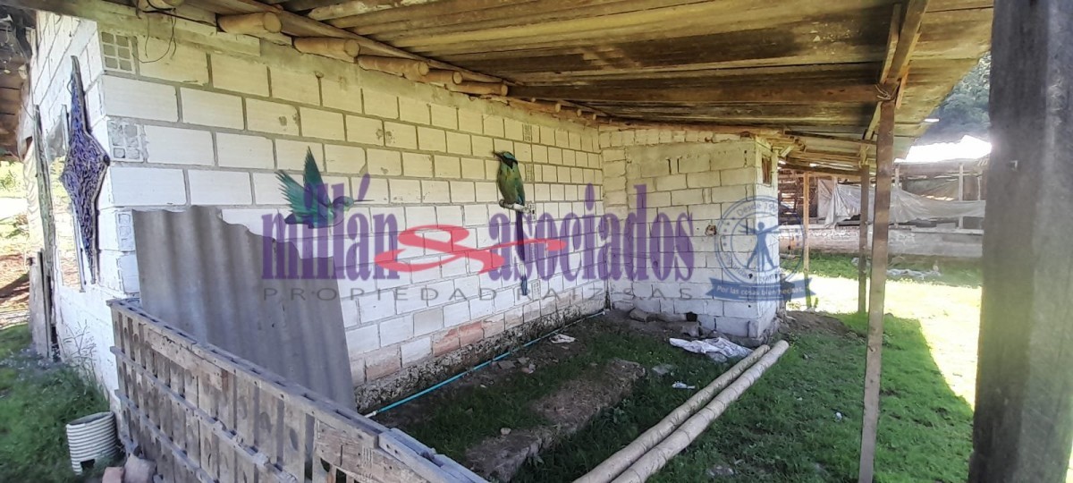 Foto de Lote / terreno en Venta en Cerro de oro, Manizales - 3 - 51810