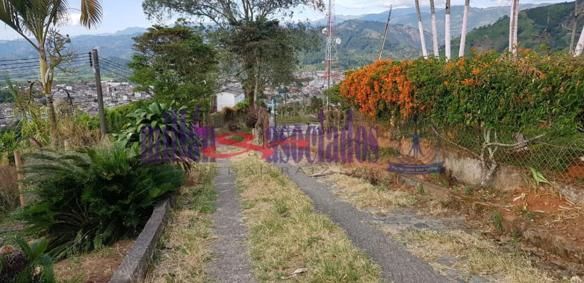 Foto de Finca en Venta en Tres esquinas, Chinchina - 11 - 52177