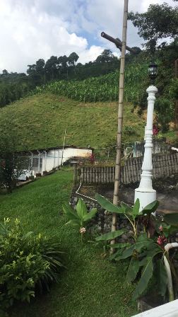 Foto de Finca en Venta en Las pavas, Chinchina - 18 - 16774