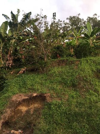 Foto de Finca en Venta en Altobonito, Manizales - 9 - 17458