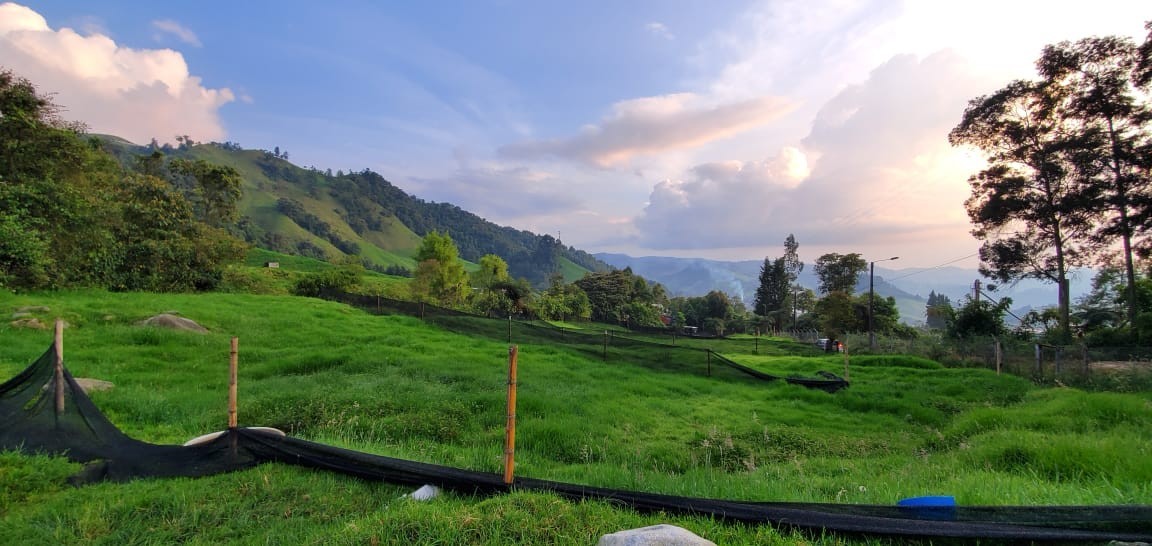 Foto de Lote / terreno en Venta en Malteria, Manizales - 2 - 279022994