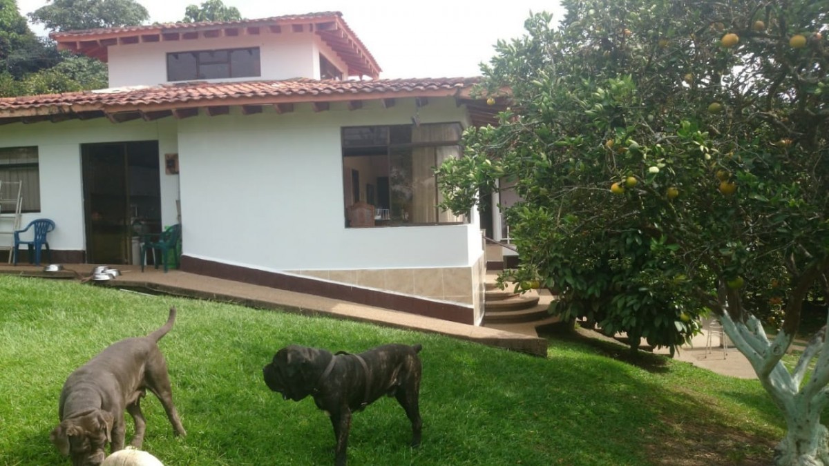 Foto de Finca en Venta en Vereda santagueda, Palestina - 26 - 279014376