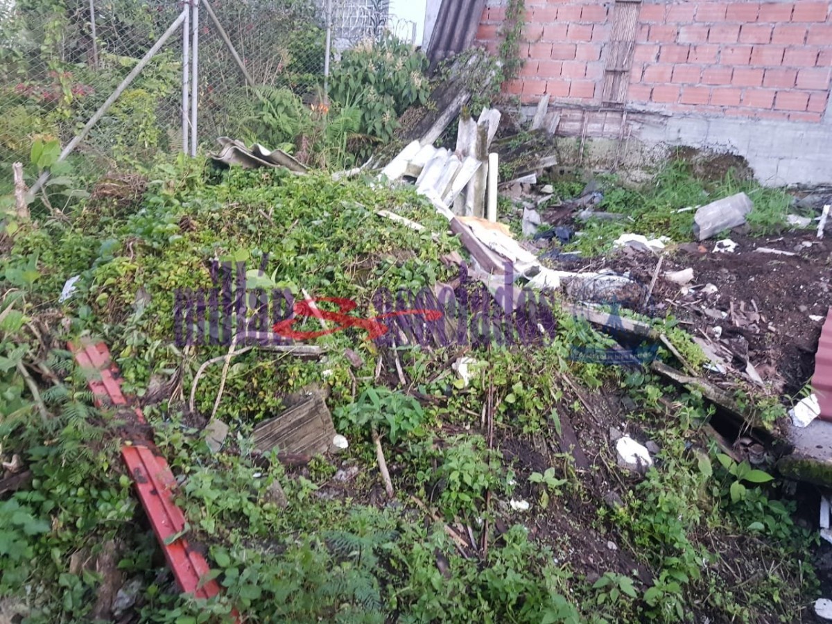 Foto de Lote / terreno en Venta en San jorge, Manizales - 2 - 51806