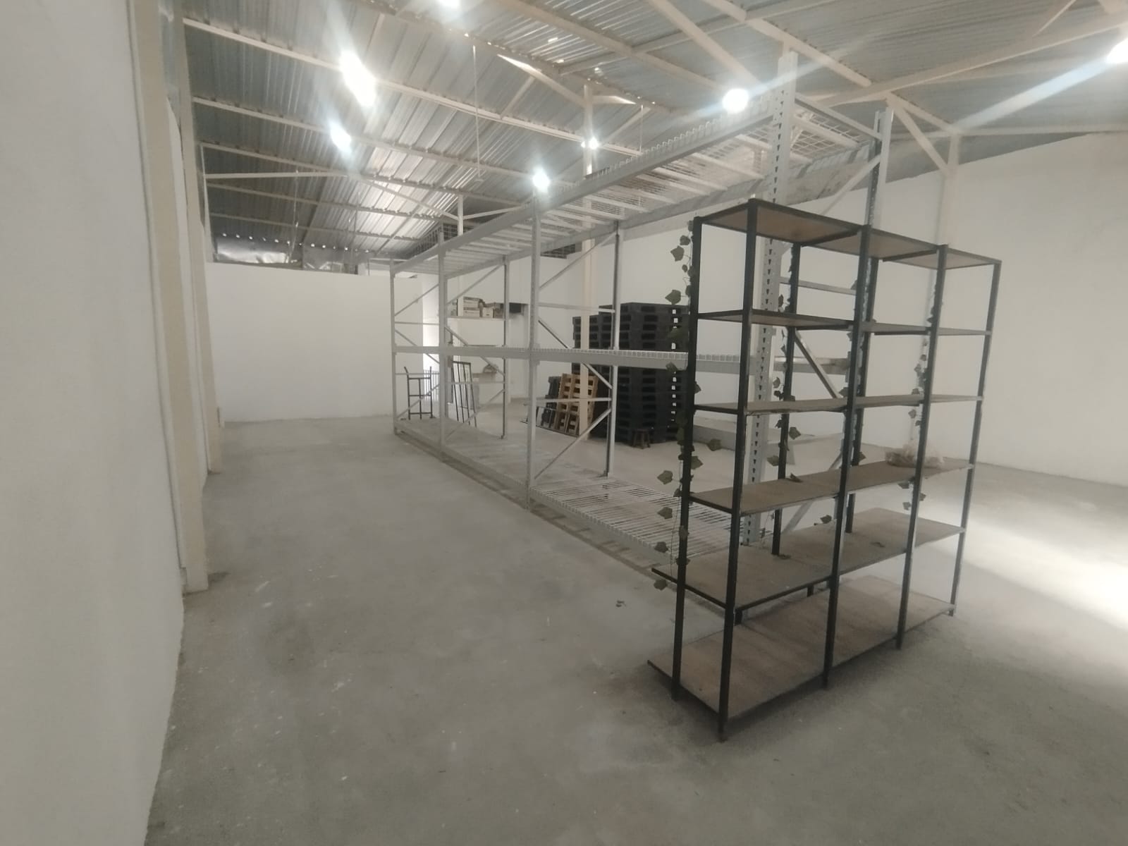 Inmueble Gestión Externa
