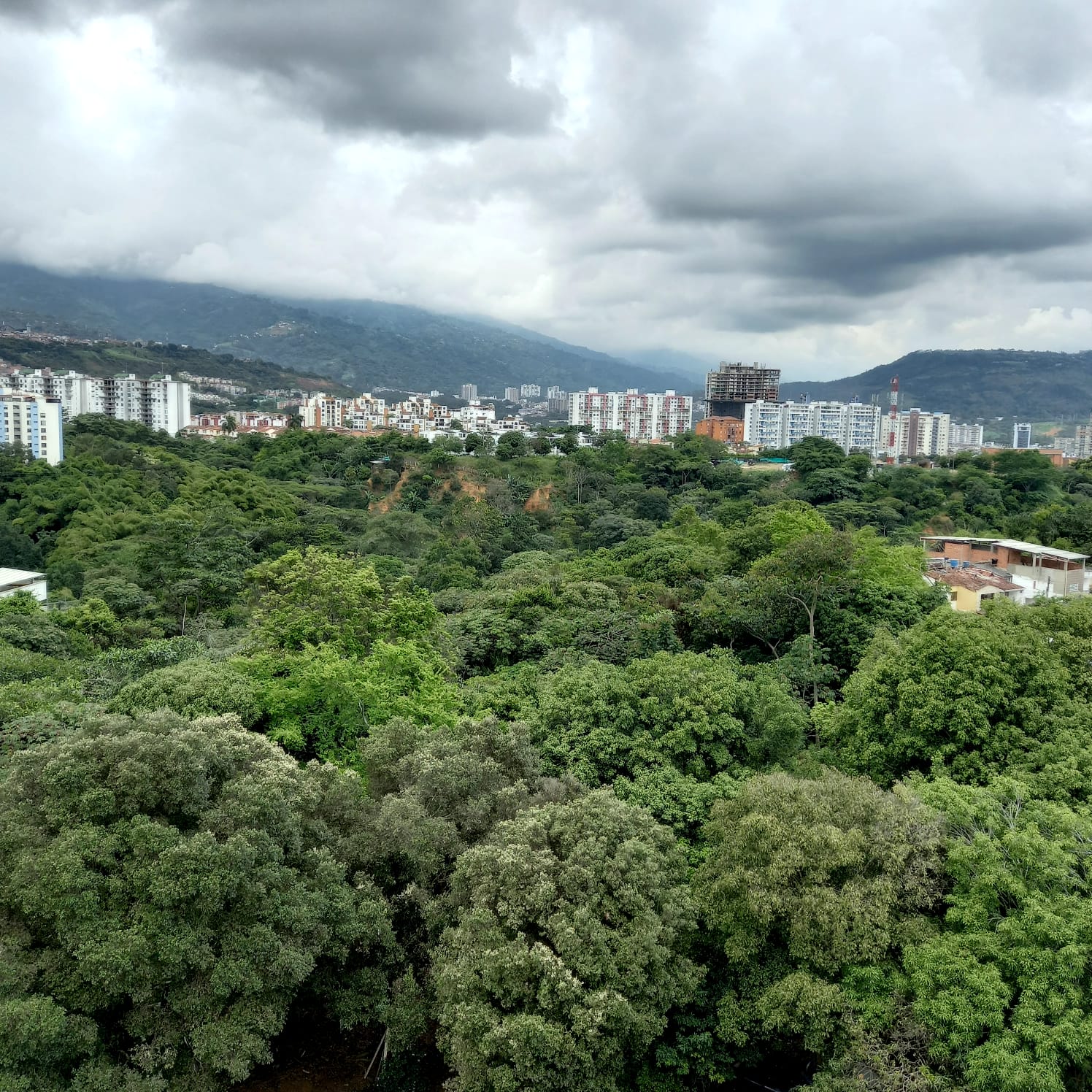 Inmueble Gestión Externa