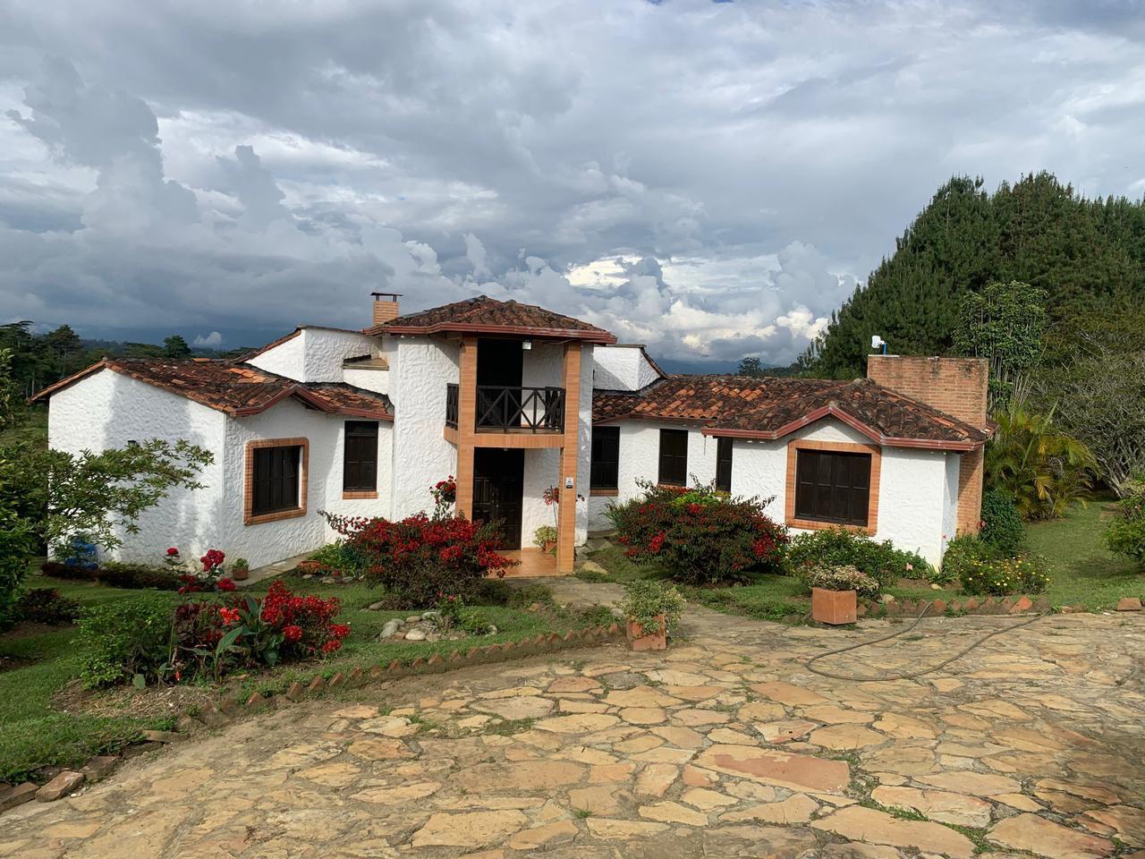 Gesión Externa