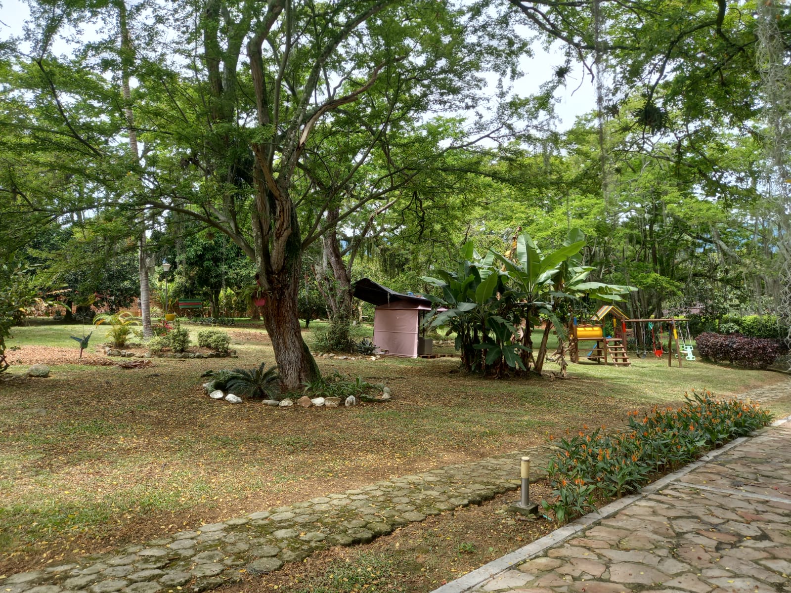 Gesión Externa