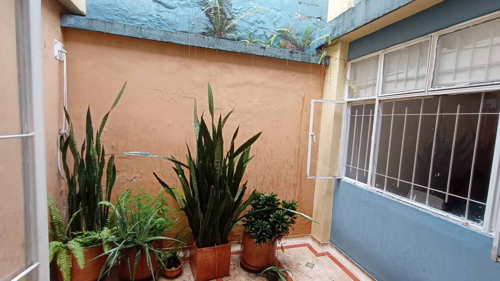 Inmueble Gestión Externa