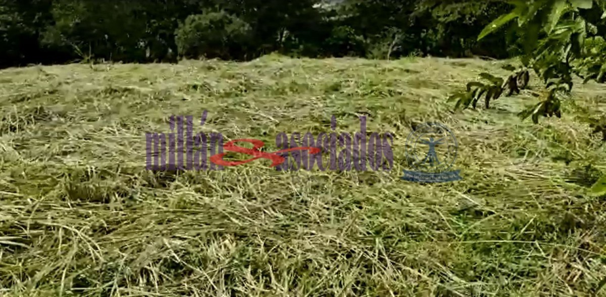 Foto de Lote / terreno para Venta en Vereda santagueda, Palestina - 52174