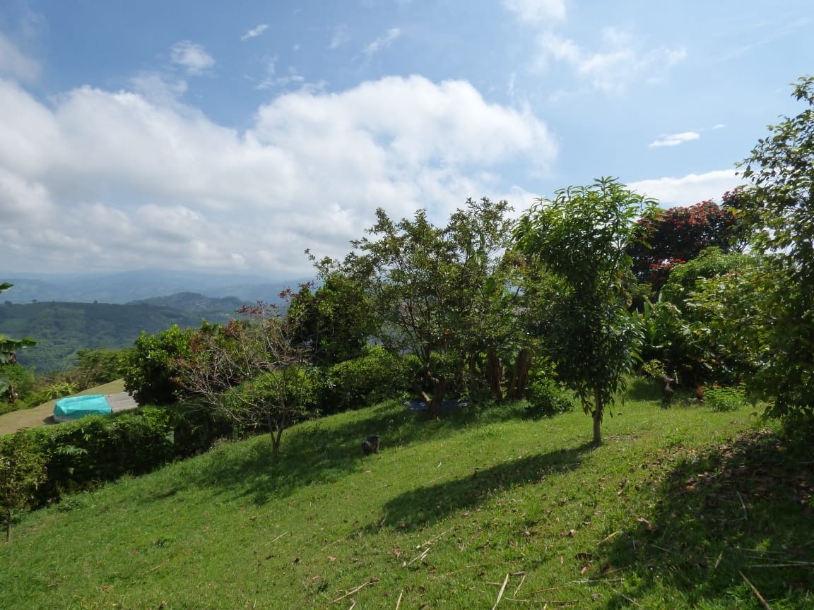 Foto de Lote / terreno en Venta en La cabaña, Manizales - 4 - 23074