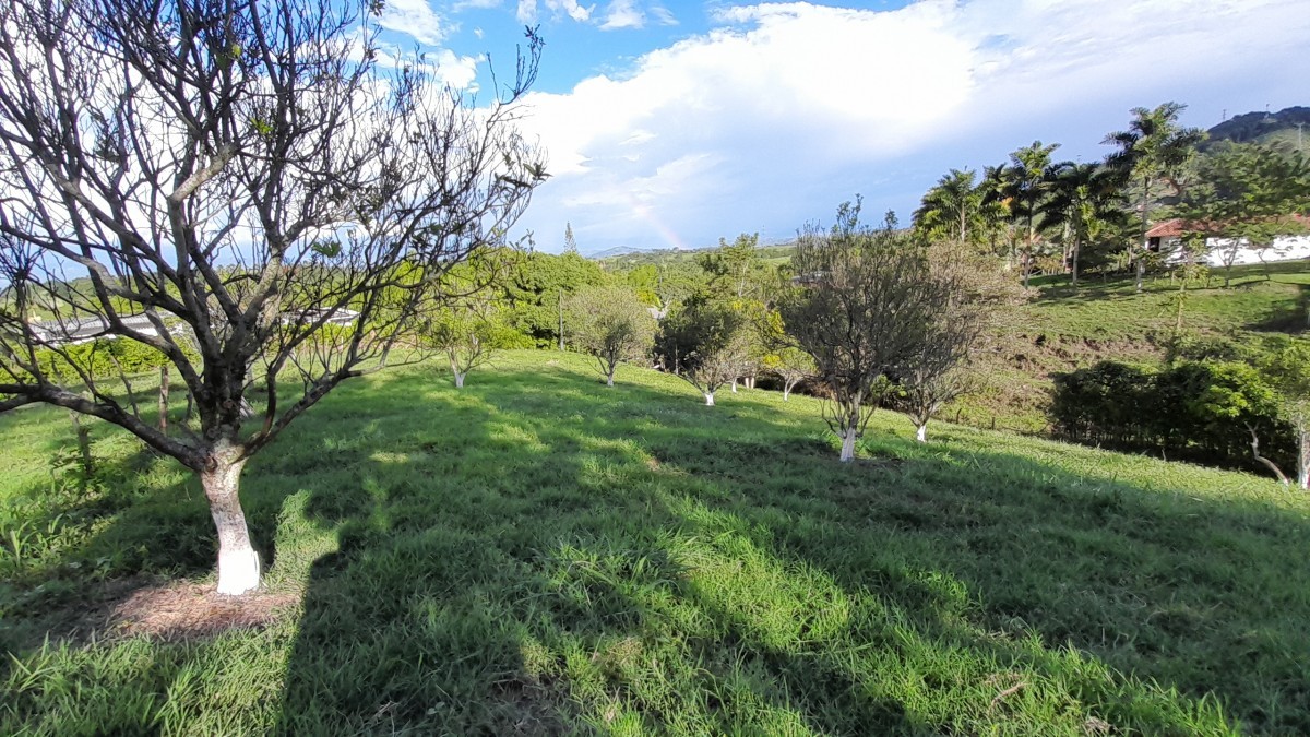 Foto de Lote / terreno en Venta en Arauca via risaralda, Risaralda - 12 - 279024588