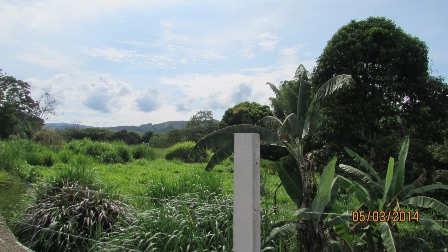 Foto de Lote / terreno en Venta en Vereda santagueda, Palestina - 11 - 27909649