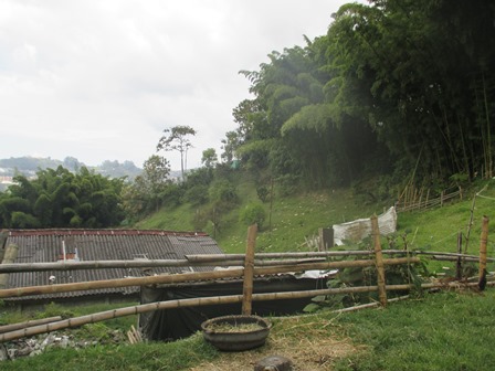Foto de Lote / terreno en Venta en VillamarÍa, Villamaria - 10 - 279019614