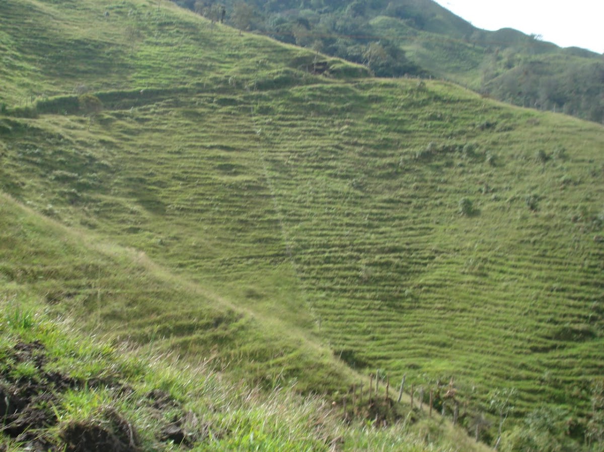 Foto de Finca para Venta en Padua, Libano - 279020339