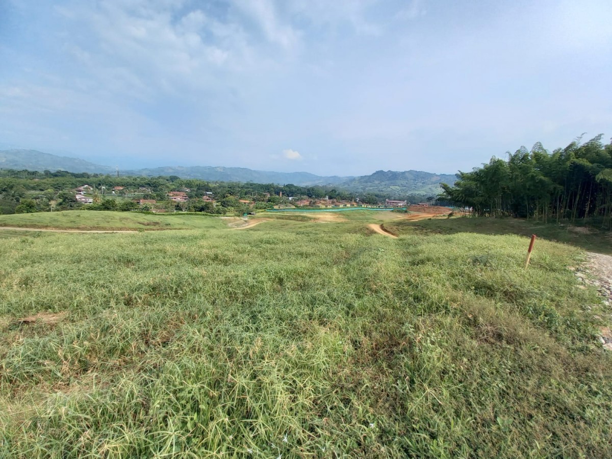 Foto de Lote / terreno en Venta en Vereda santagueda, Palestina - 10 - 24468