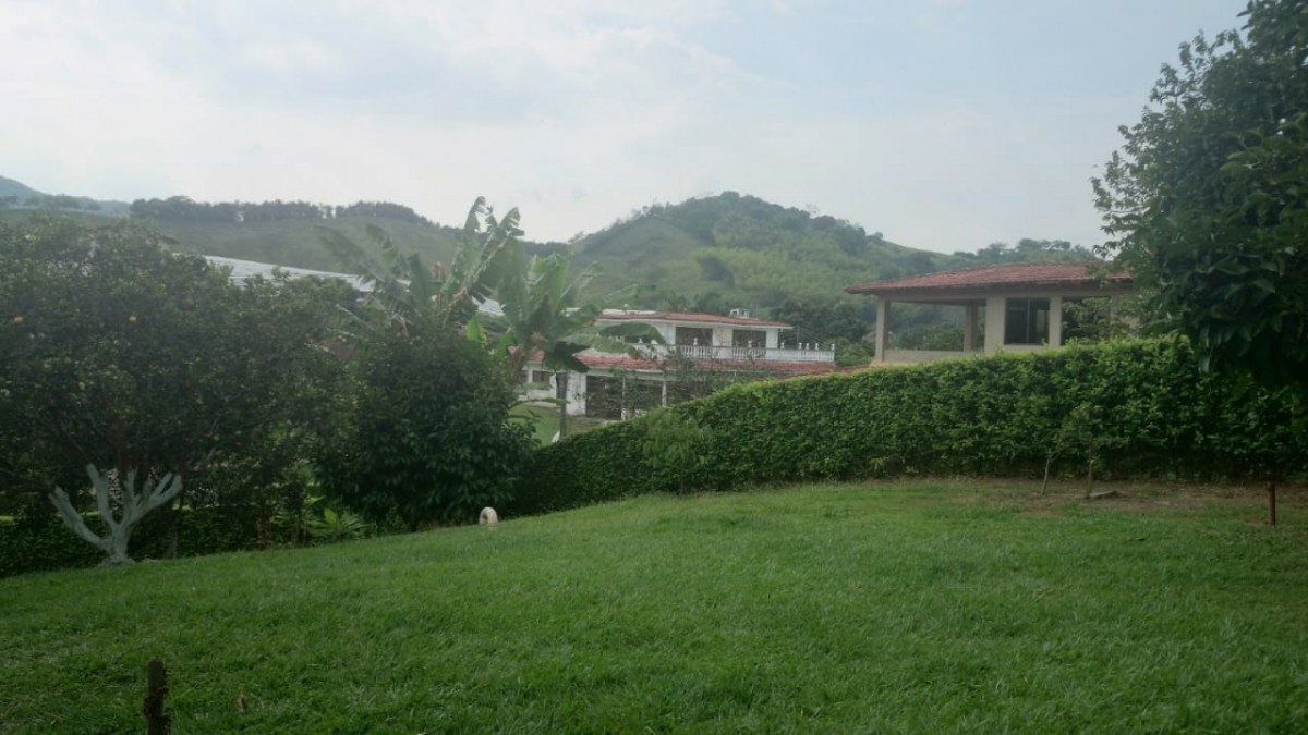 Foto de Finca en Venta en Vereda santagueda, Palestina - 14 - 279014376
